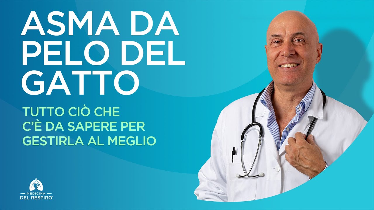 ASMA DA PELO DEL GATTO (Come Gestirla al Meglio)