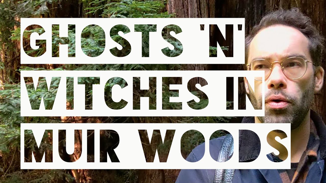 Ghosts and witches in Muir Woods, California
