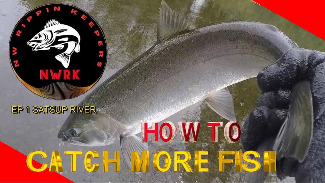 EP 1 SATSUP RIVER, CATCHING SALMON DRIFT FISHING! 