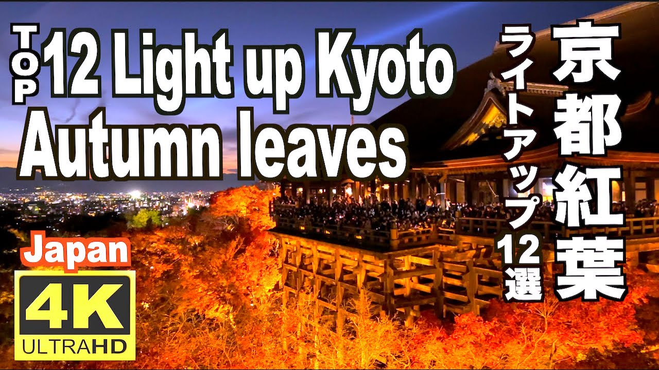 京都紅葉ライトアップ12選 Top12 Autumn leaves light up in Kyoto 京都観光 京都名所 旅行 秋の京都 ライトアップの名所 夜間特別拝観 紅葉の名所 Trip