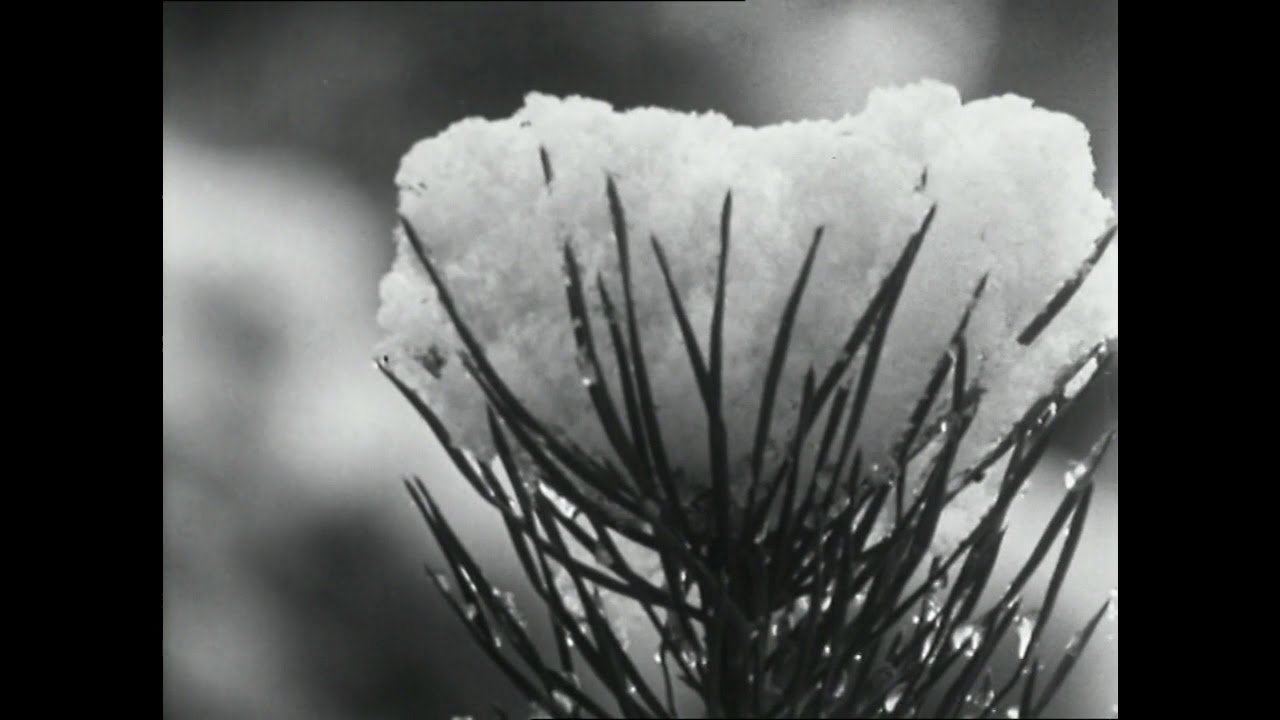 Dormi, mia bella, dormi - Coro della SOSAT (1967)