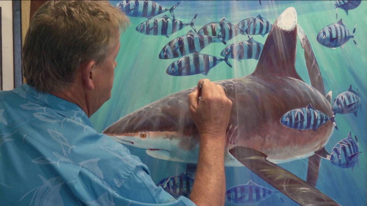Guy Harvey Shark Research-2016|Chevy Florida Insider Fishing Report-Season12,Episode19