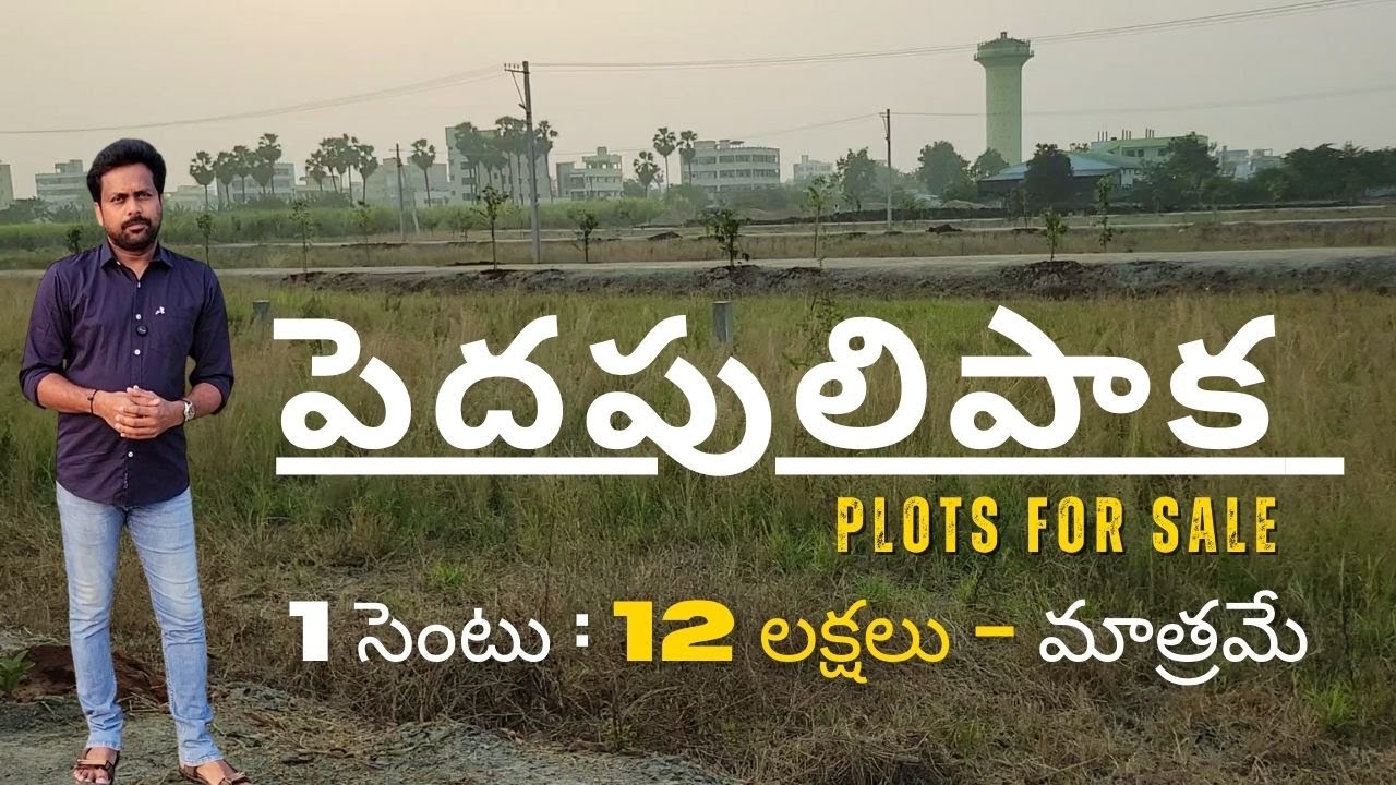 Plots For Sale In Pedapulipaka l పెదపులిపాక Plots For Sale l Plots For Sale In Vijayawada