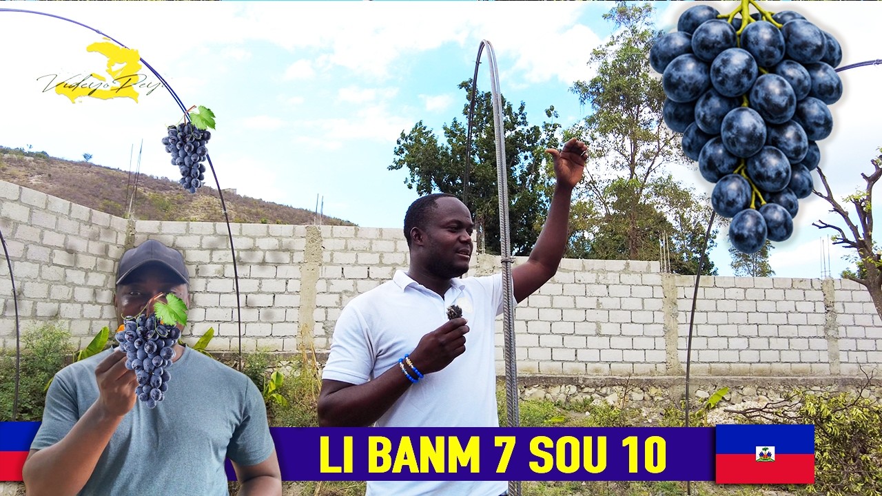 Yon bon teknisyen nan agrikilti vizite Vilaj Peyi a li banm anpil konsèy