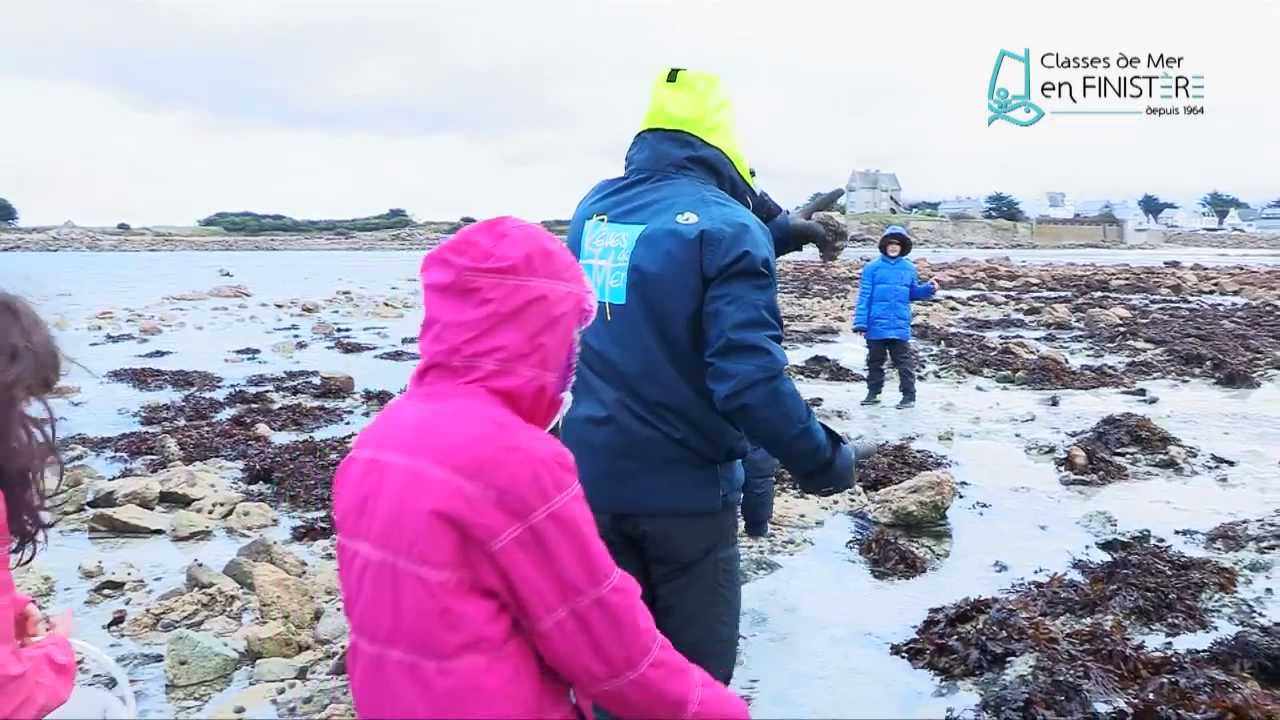 Démarche pédagogique en classe de mer