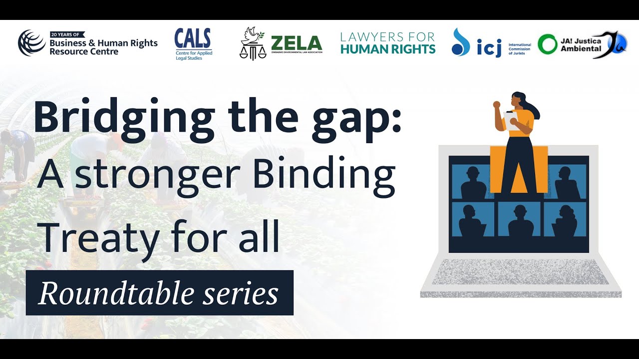 Webinar: Complementarity of the Binding Treaty on Business & Human Rights, NAPs & mHREDD legislation