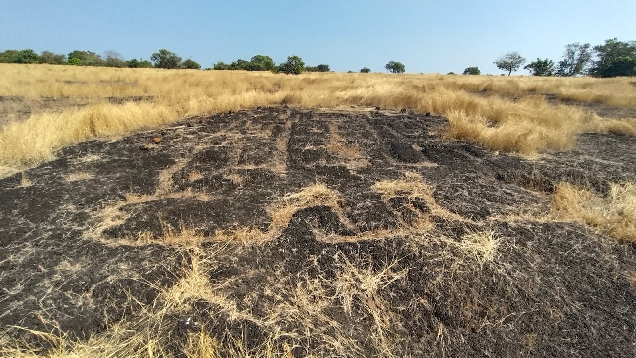 पेंडूर मोगरणे येथे सापडली नवीन बारा कातळशिल्पे #कातळशिल्पे #petroglyph #मोगरणे #mogarane #पेंडूर