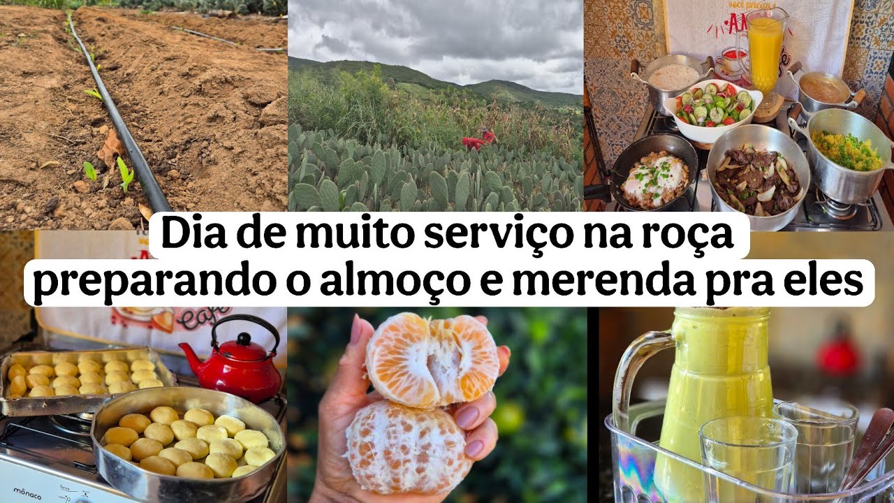 CEDINHO O TRABALHO J&Aacute; INICIA/ cuidando do almo&ccedil;o e merenda pra eles/ horta/ jardim/ rotina