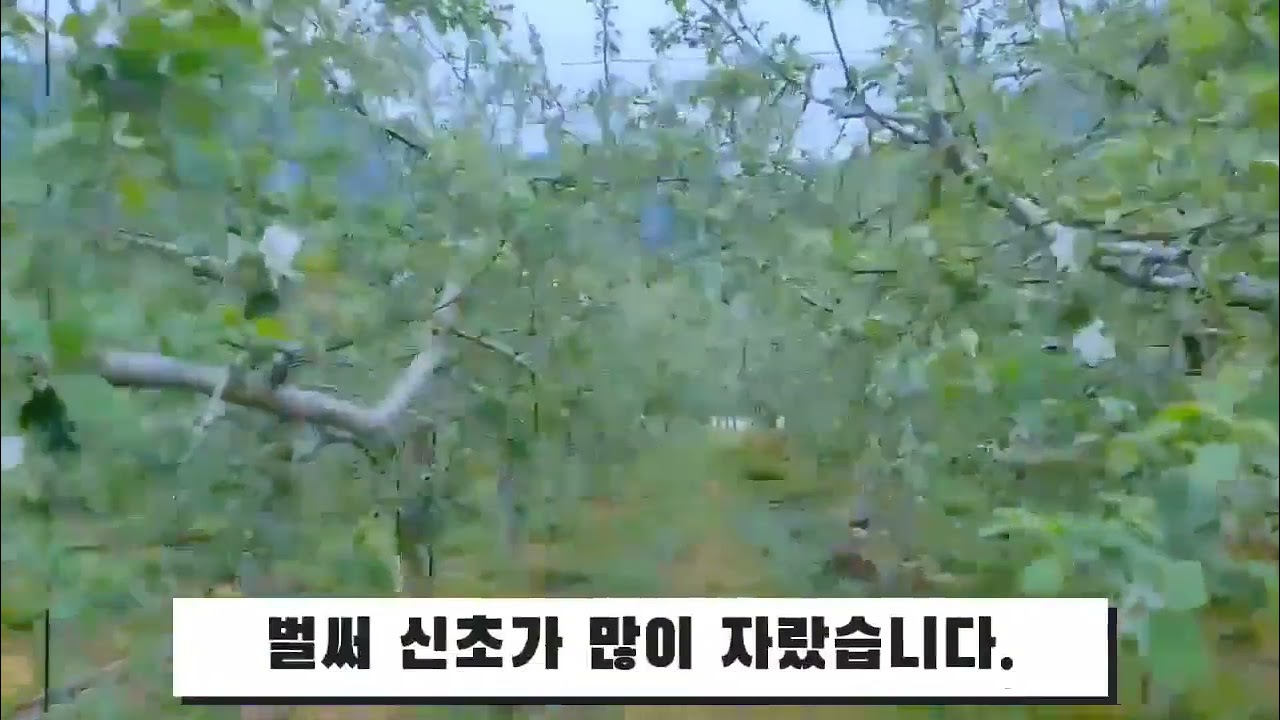 2024년 4월 27일