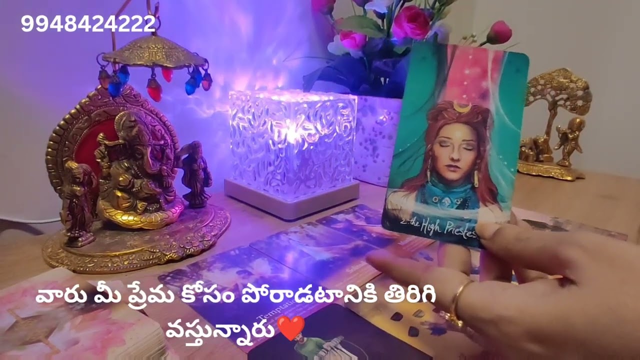 వారు మీ ప్రేమ కోసం పోరాడటానికి తిరిగి వస్తున్నారు❤️ Tarotreading 9948424222