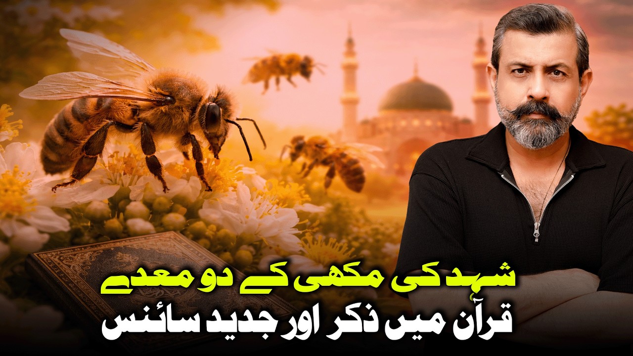 Honey Bees, Science and The Quran - The Scientific Context Explained 
