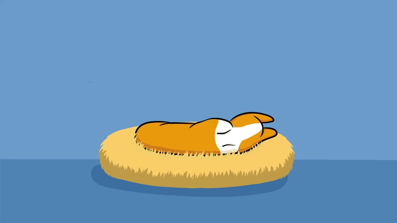 Corgi Sleeping - Updated