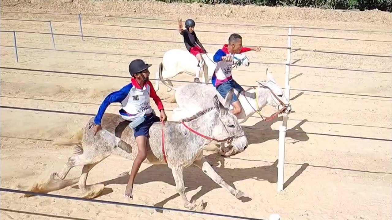 CORRIDA DE JUMENTOS | CAPITÃO GERVÁSIO DE OLIVEIRA - PI