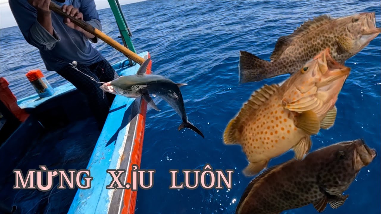 285) MẤY THÁNG RỒI NAY MỚI GẶP, RẤT RẤT RẤT…BỘI THU.