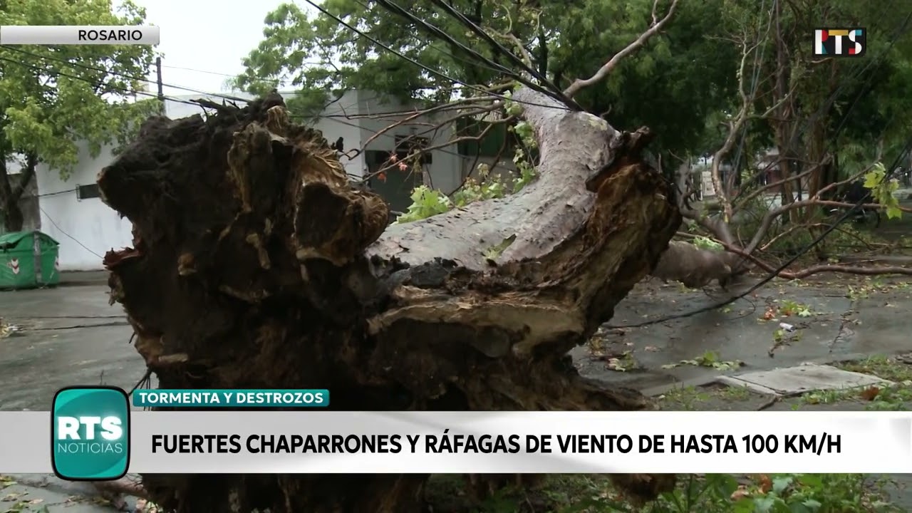 TEMPORAL EN ROSARIO: ÁRBOLES CAÍDOS Y BARRIOS SIN LUZ | Vecinos reportan daños y reclamos