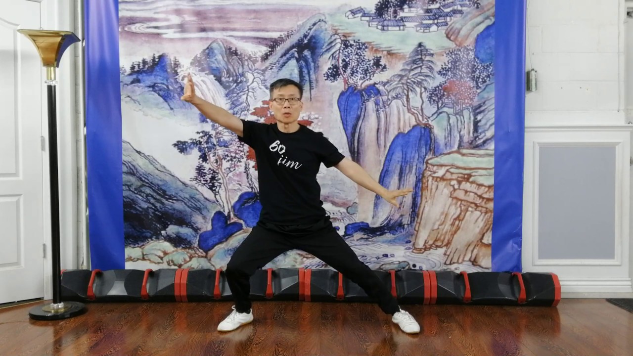 Daily 30 MinTai Chi High Intensity Explode movements (Fajin) training Ep1/4. VID 20200318 173125