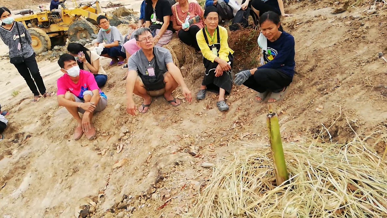 บารายคัลเจอร์ หมอเขียว สวนป่านาบุญ 9  ปี63