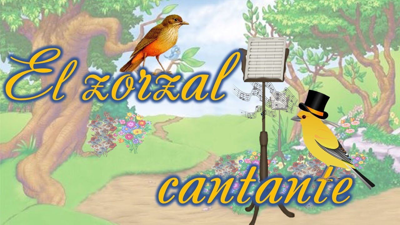El zorzal cantante   Historias para niños