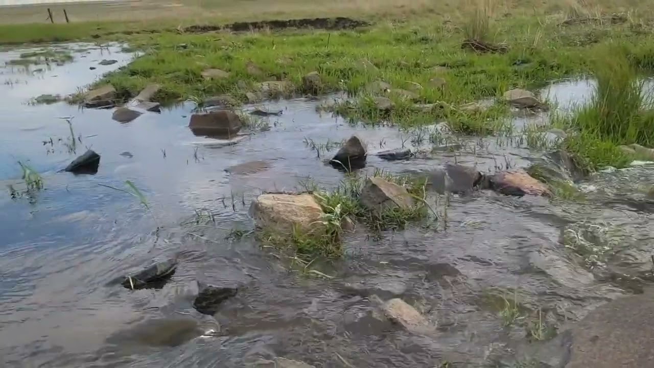 Hidden Gem in the Highveld Grasslands Area