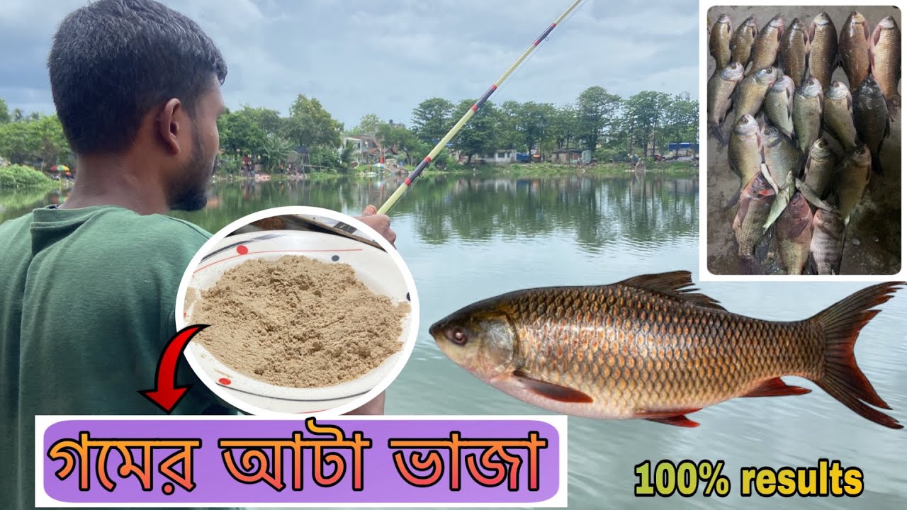 রুই মাছ ধরার গোপন টোপ ১০০% কার্যকারী ! rohu fishing secret bite 100% warking ! #Tarak#Fishing#Center