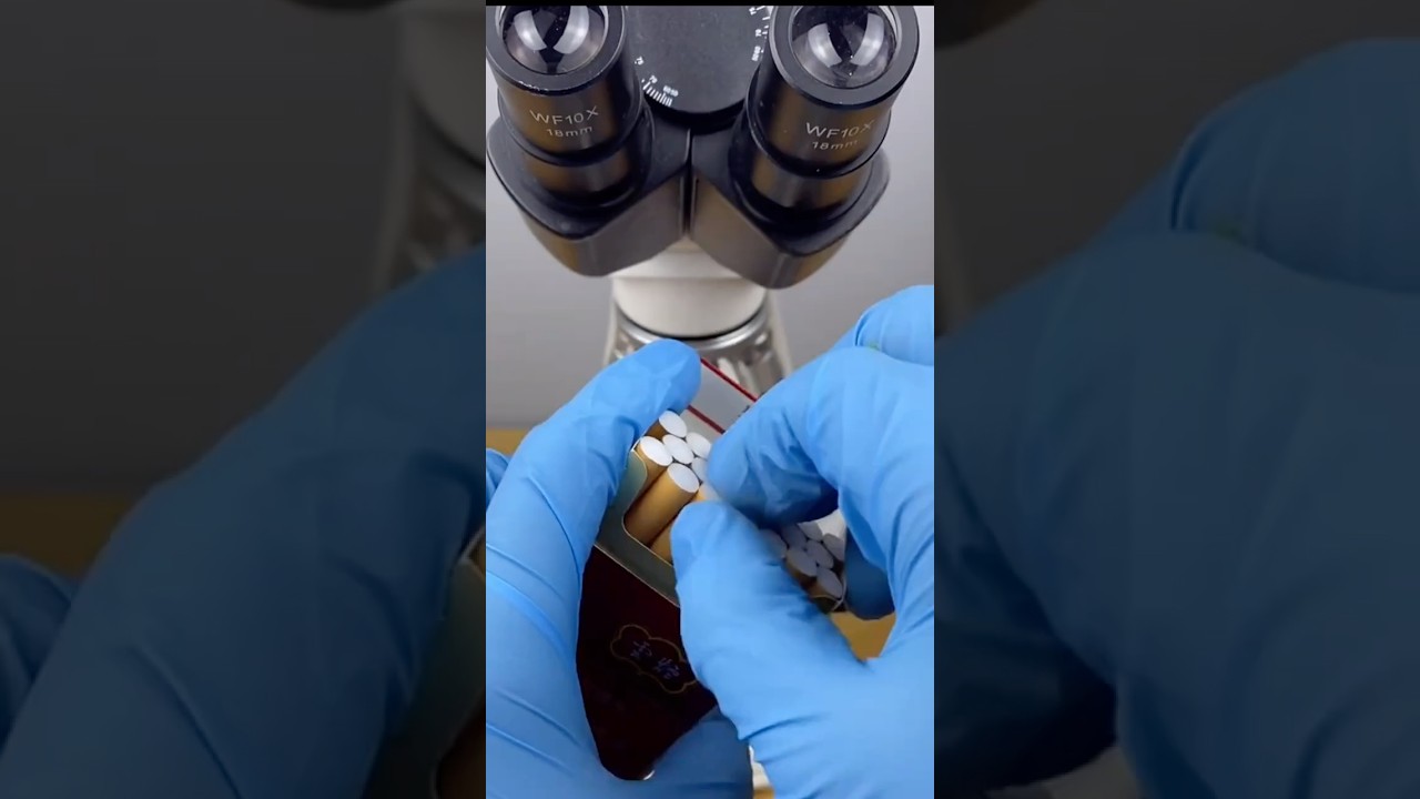 Cigarette A Hidden World Under the Microscope &ndash; Bacteria Close-Up #science #microscope