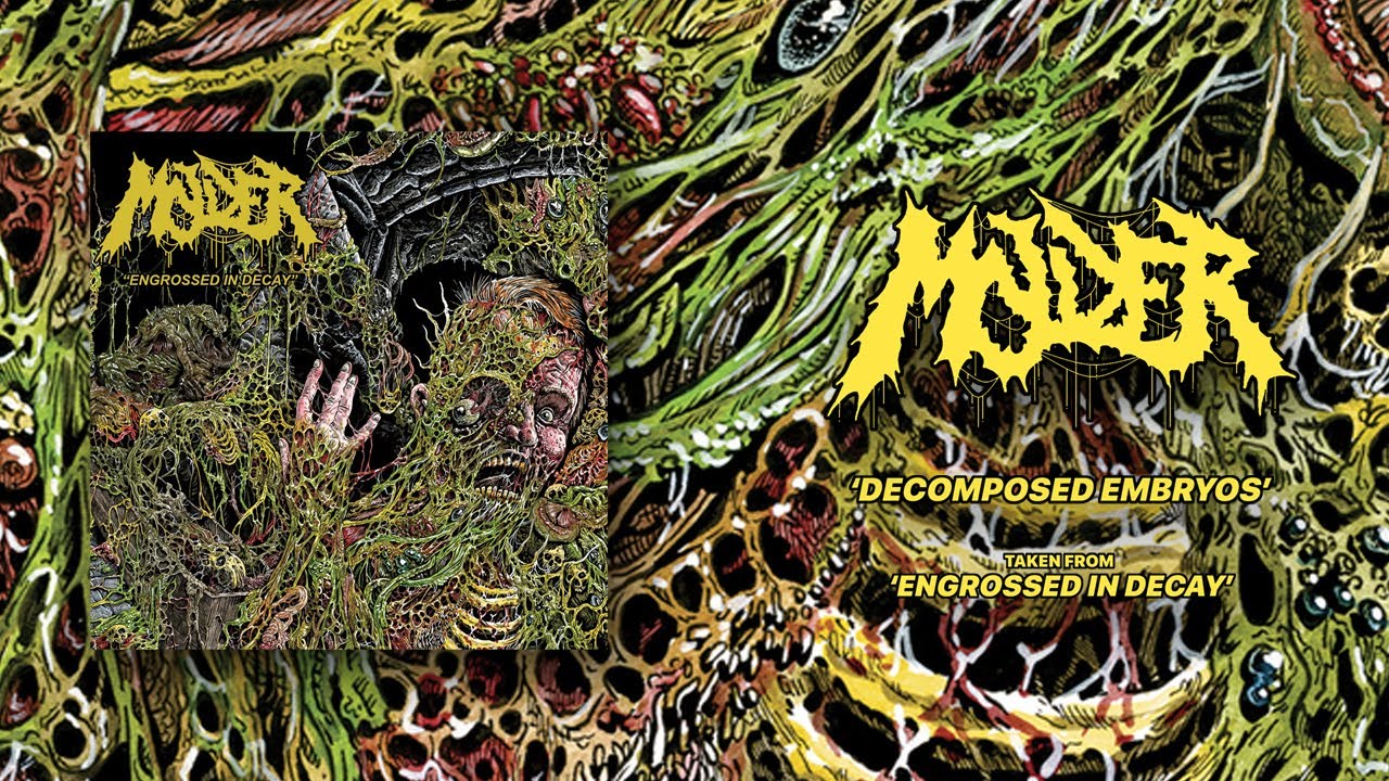 MOLDER - DECOMPOSED EMBRYOS (OFFICIAL VISUALIZER)