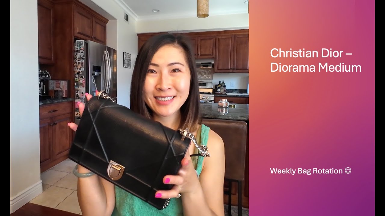 Christian Dior Diorama Medium Overview | Weekly Bag Rotation | What Fits in My Bag
