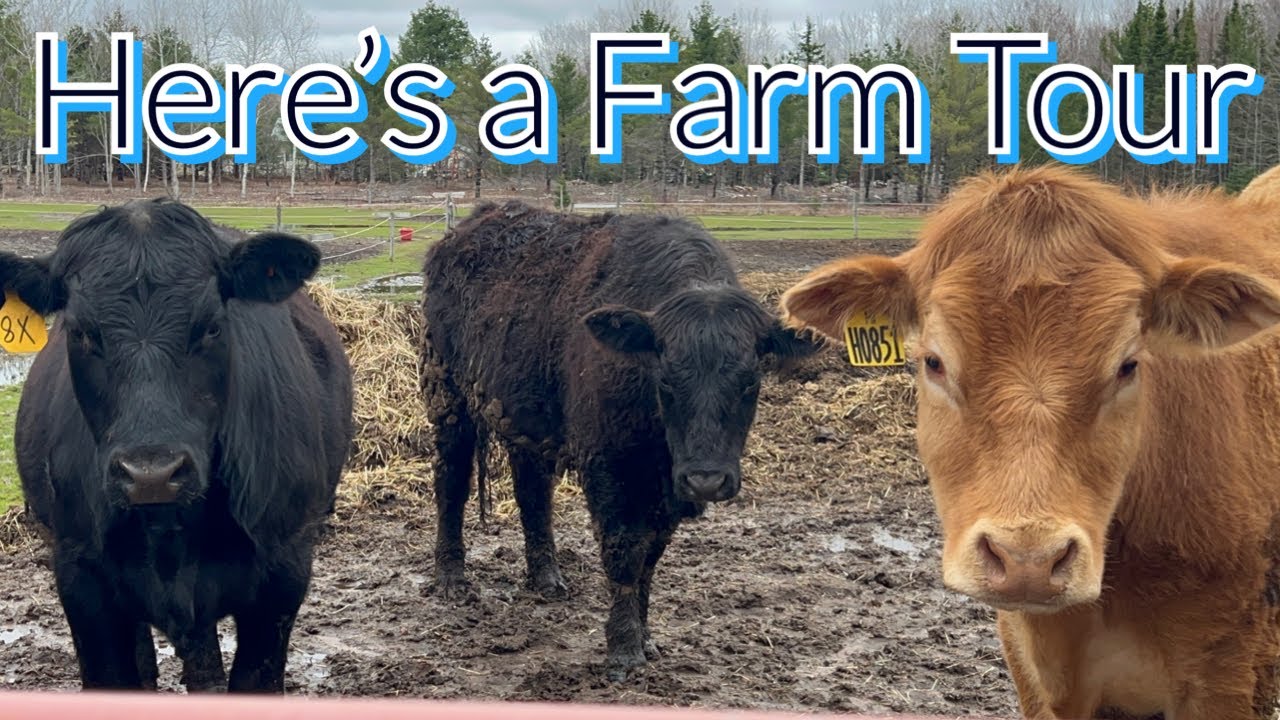 ITS FARM TOUR TiME 😉