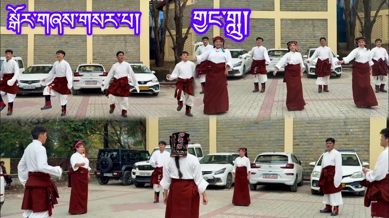 New Tibetan Gorshey2025 ༼ གྱང་གླུ།༽ལྷག་དཀར་བཟང་། སྒོར་གཞས་གསར་པ།#newtibetangorshey