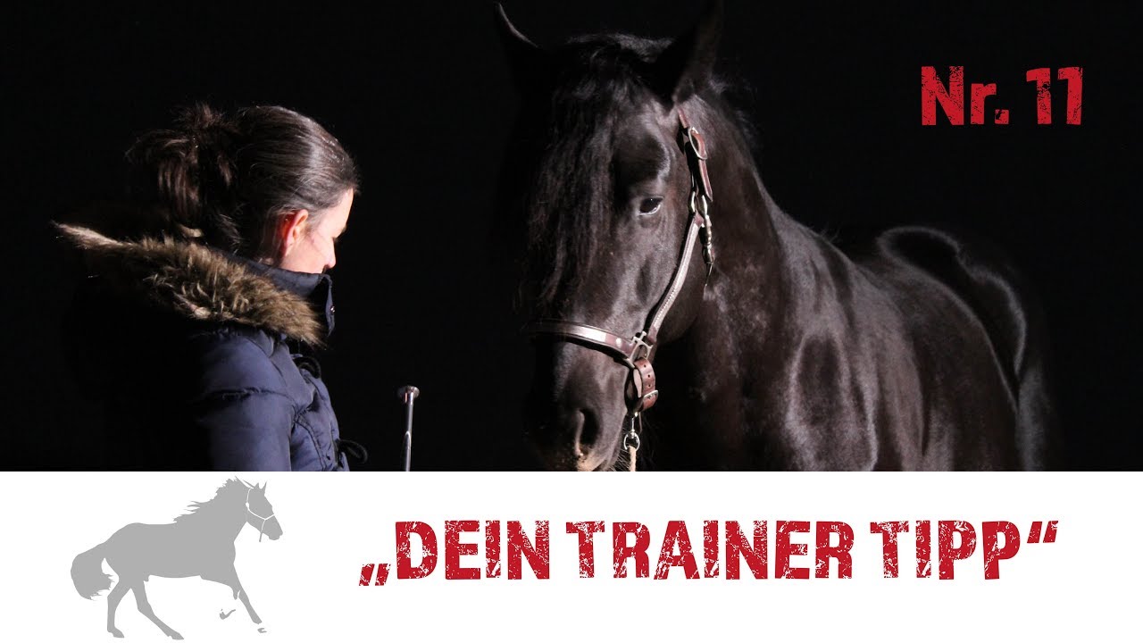 TRAINER TIPP Nr. 11 mit Mira Semelka: Schule der Légèreté