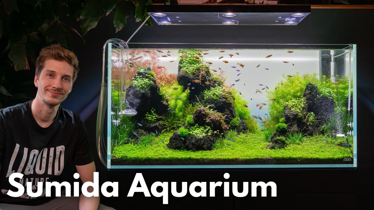 ADA 90P à la Takashi Amano nach 2 Monaten!
