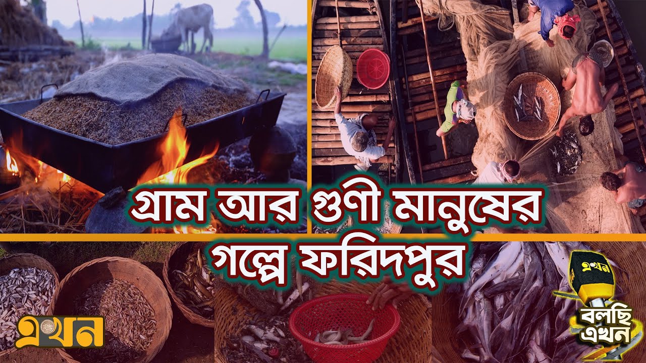 সেরা স্বাদের দেশী মাছ চাপাদহ বিলে | Documentary Of Faridpur | Deshi Mach | Ekhon TV Documentary