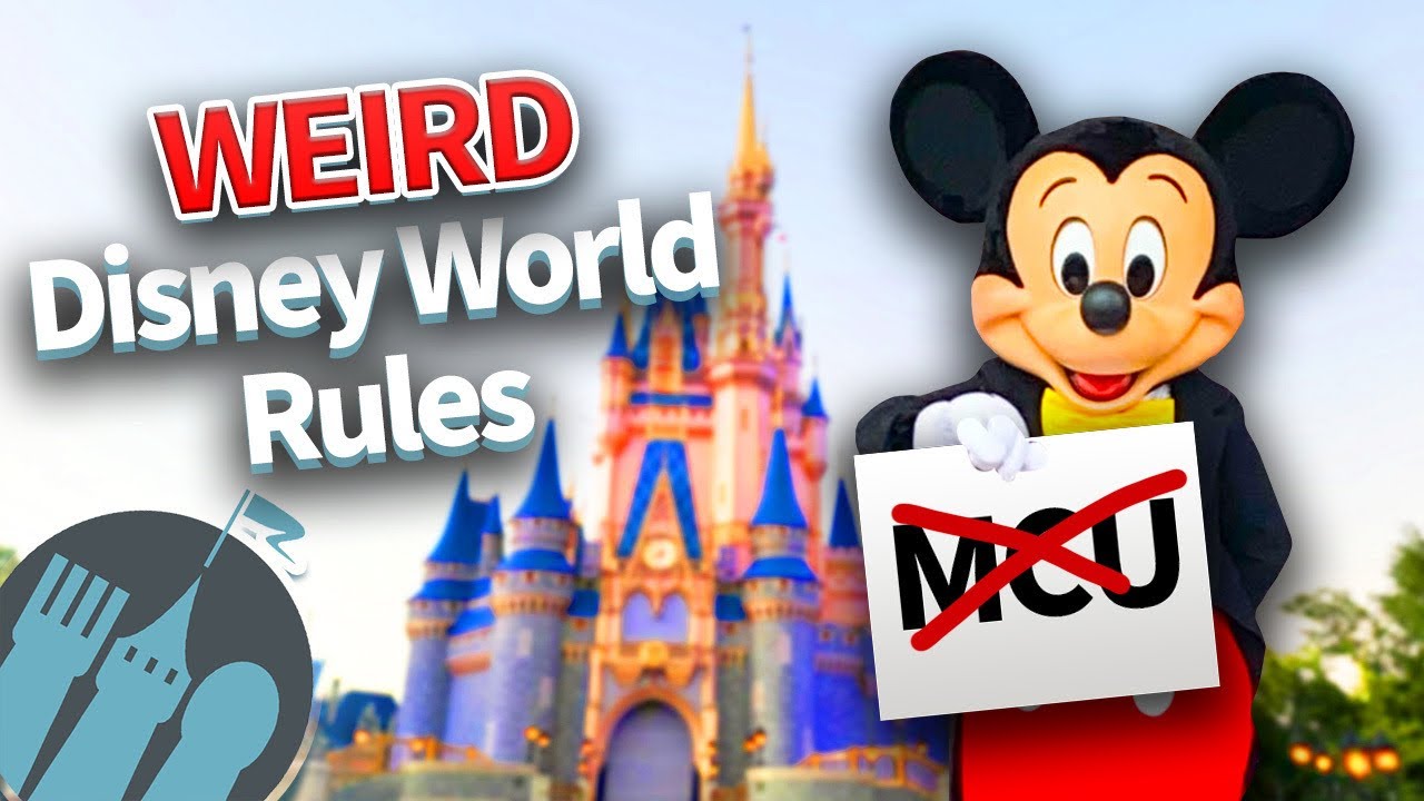 WEIRD Disney World Rules