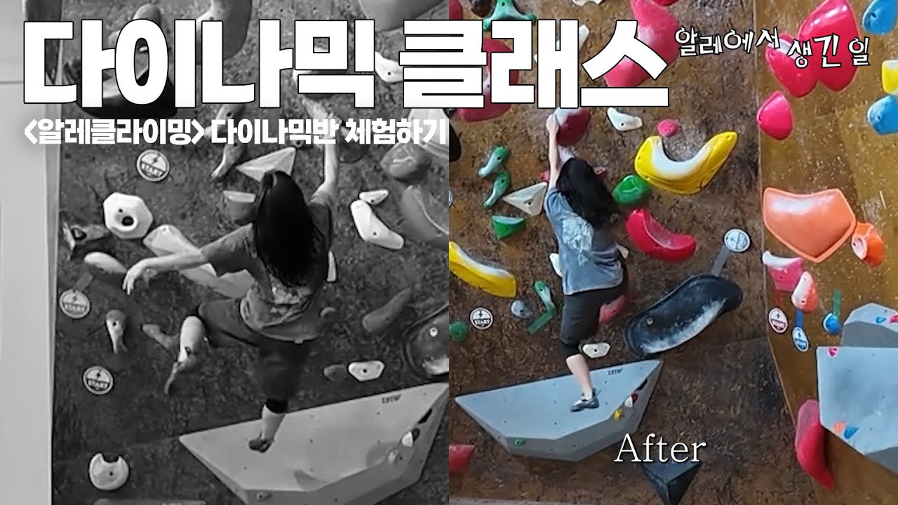 [알레에서 생긴 일] 다이나믹반 체험하기