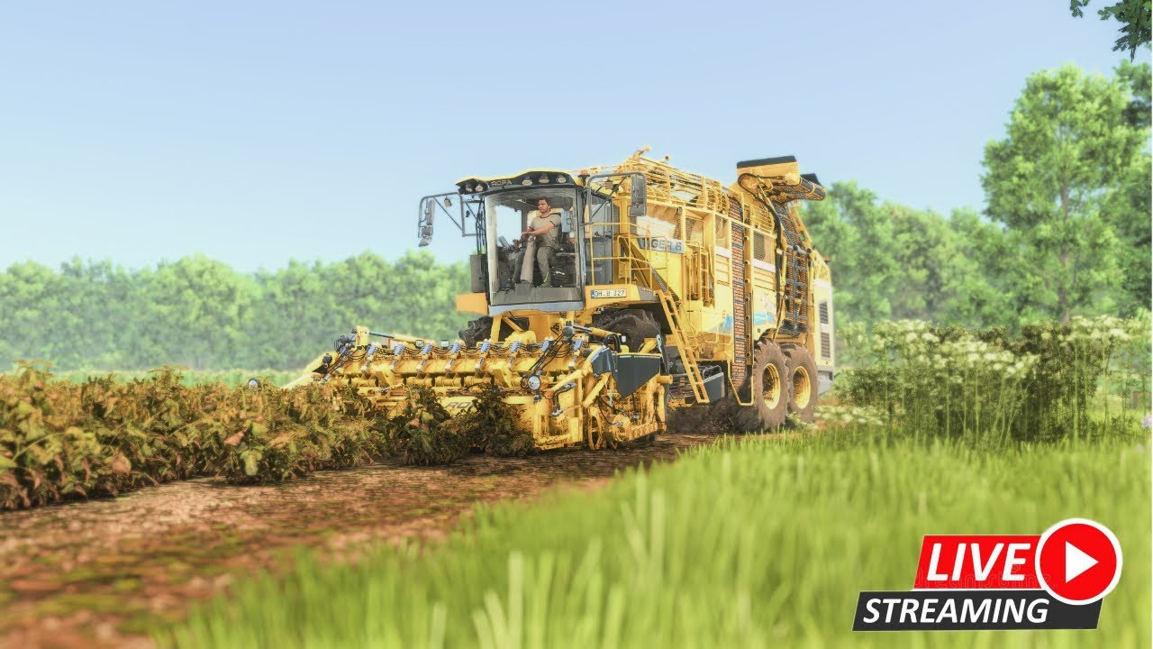FS25 Potato harvest | FS25 ReShade | 🔴 Live ! -German- -English-