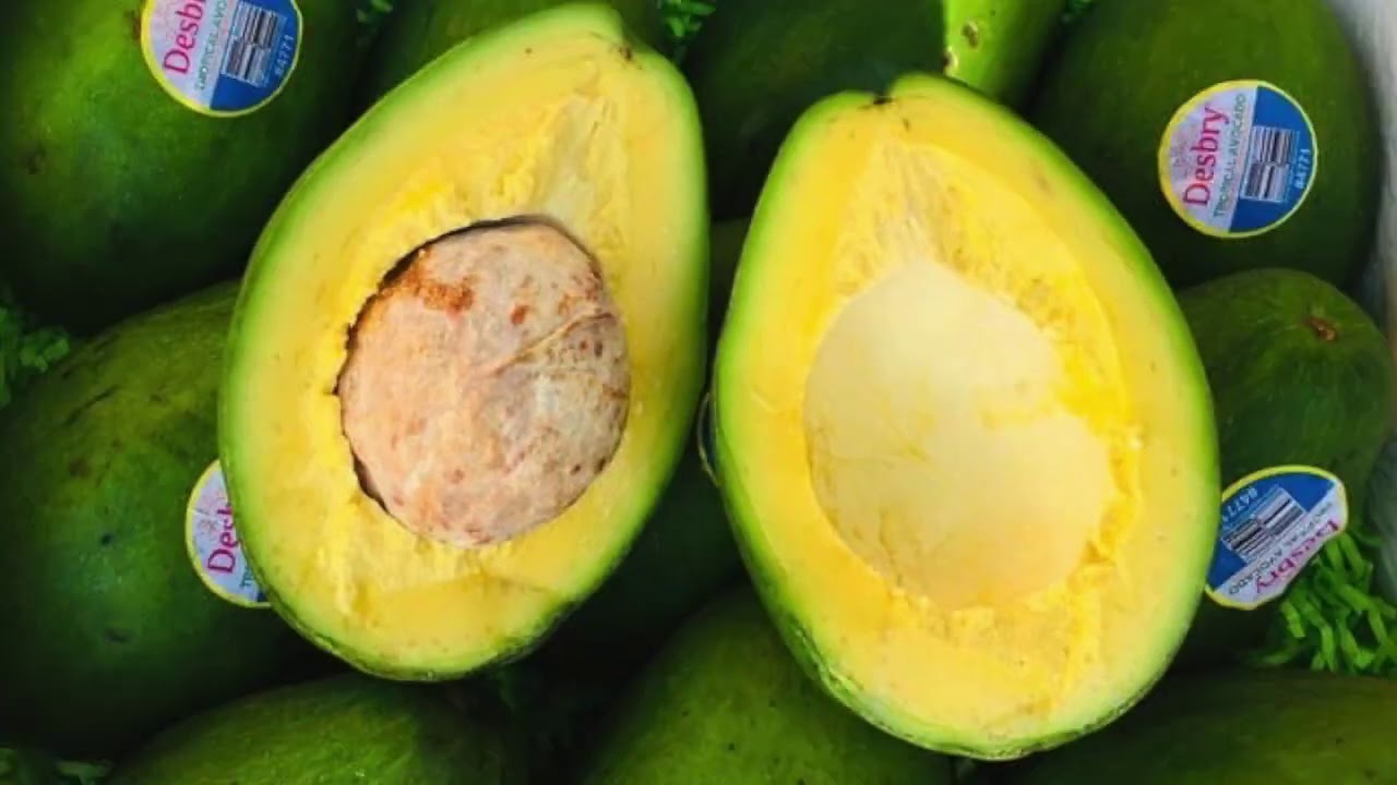 Order Fresh Tropical and Exotic Fruits and Have Them Delivered to Your Door
