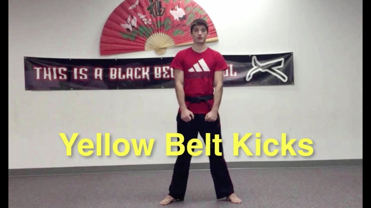 yellow belt kicks