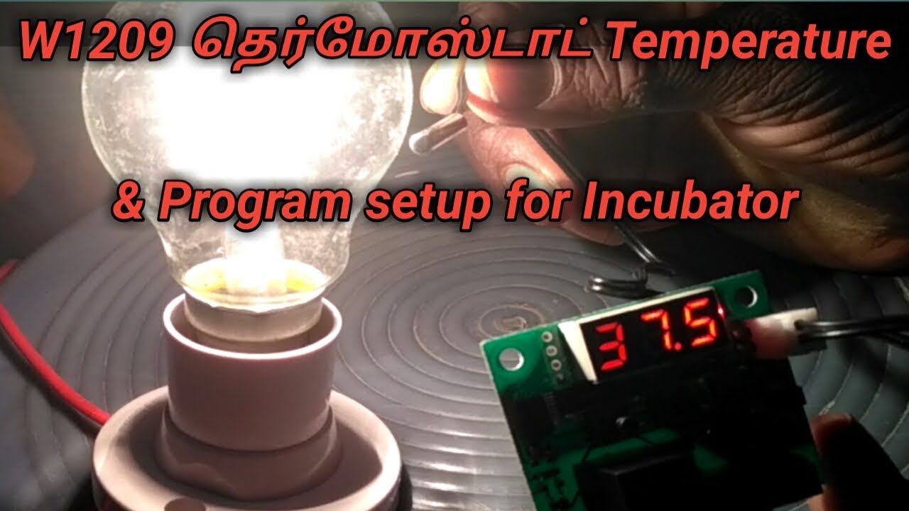 W1209 Thermostat temperature & Program setup