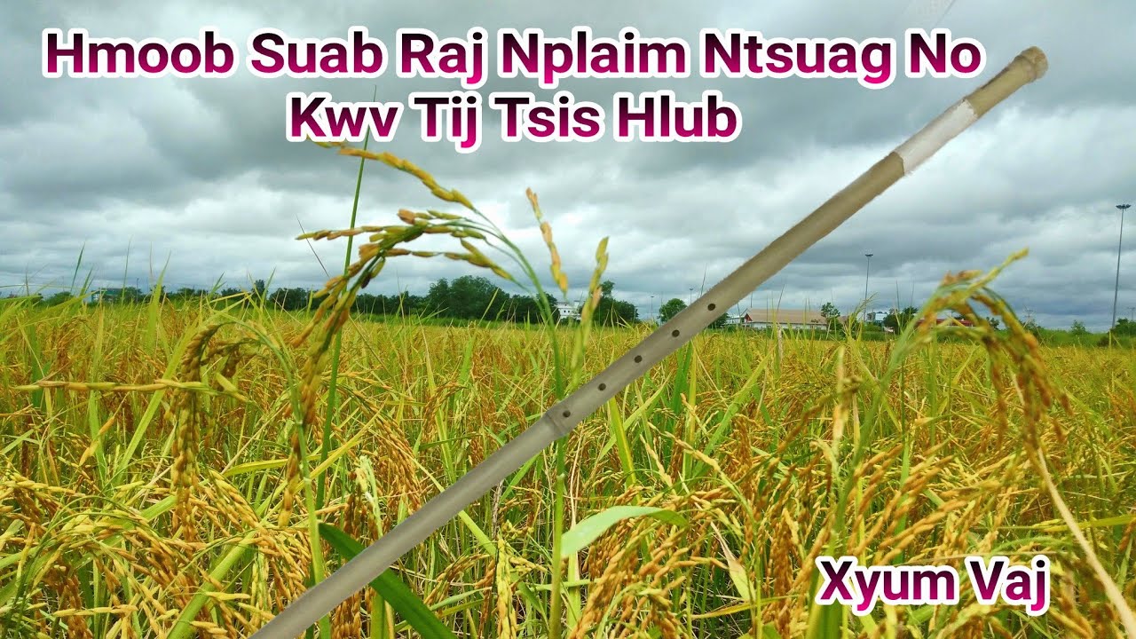 Raj Nplaim Ntsuag Niam Txiv Tuag Mus Caum Kwv Caum Tij Luag Tsis Hlub Yus