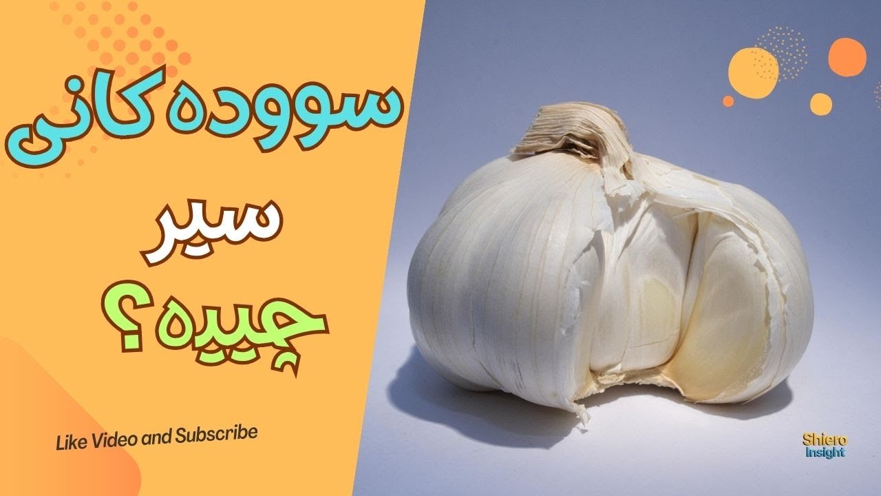 سیر چ سوودێکی هەیە؟