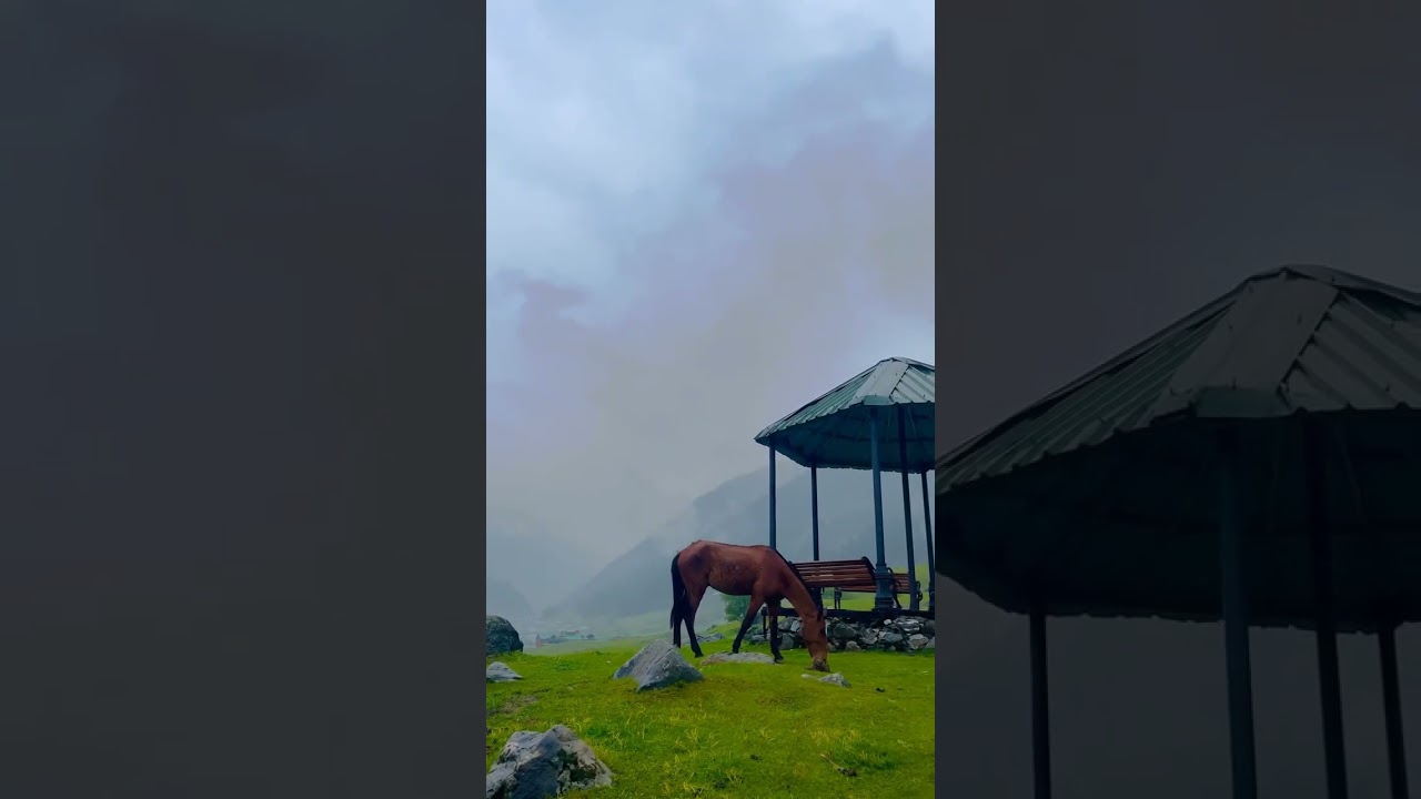 Kashmir &ndash; Heaven on Earth | Exploring Gulmarg, Sonamarg & Pahalgam