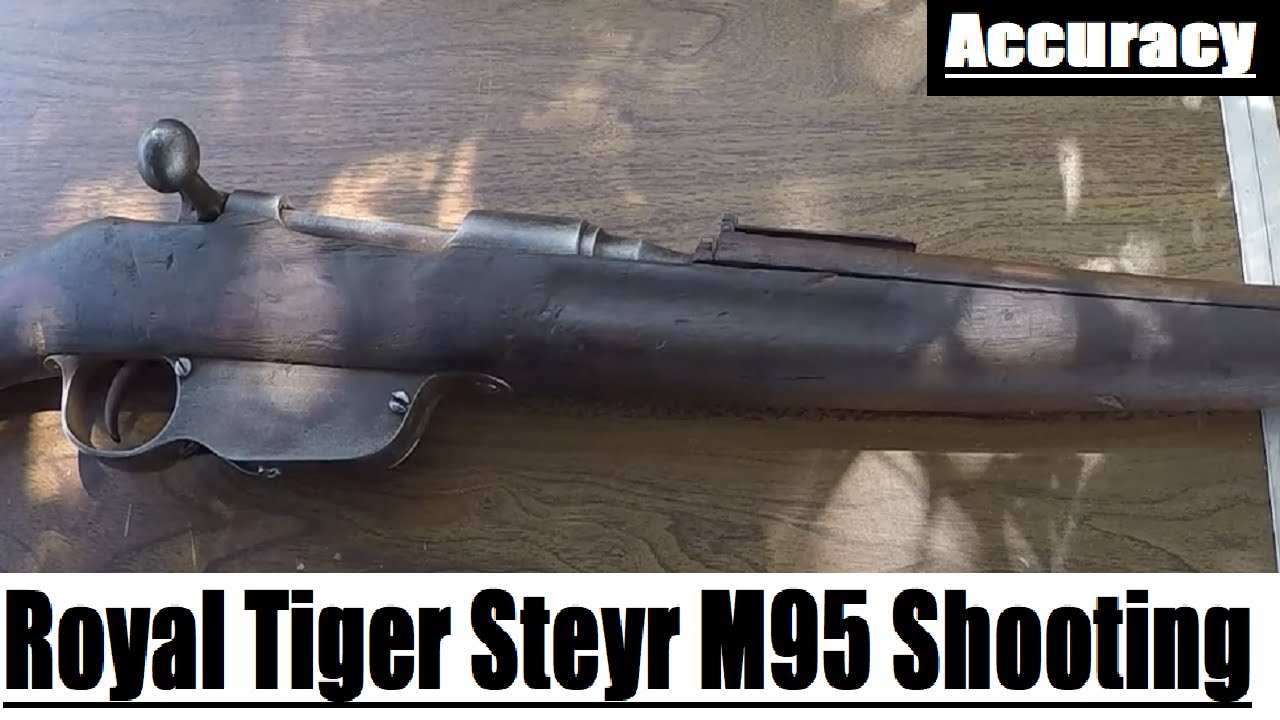 99$ C Grade Steyr Mannlicher M95 8x50 Shooting & Testing