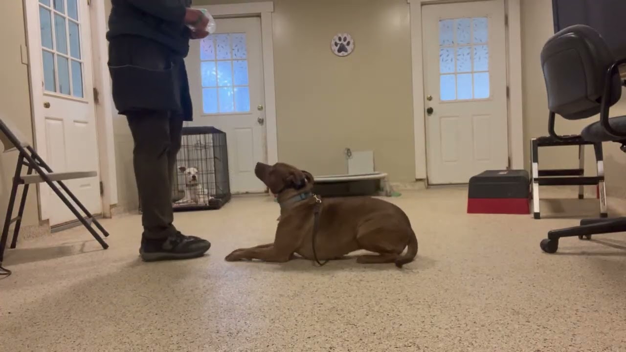 Ellie 02 11 26