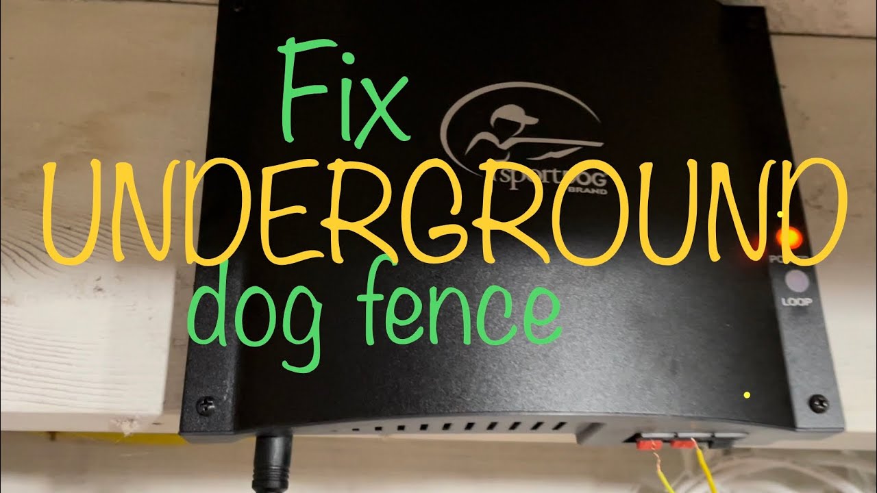 Find break in dog fence wire! Fast and easy