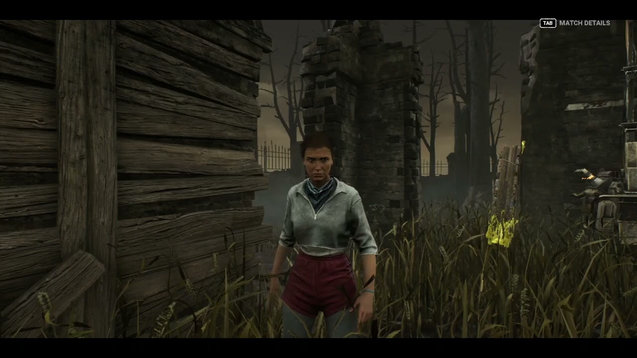 Dead by Daylight zum ersten mal aber zu zweit I Dead by Daylight