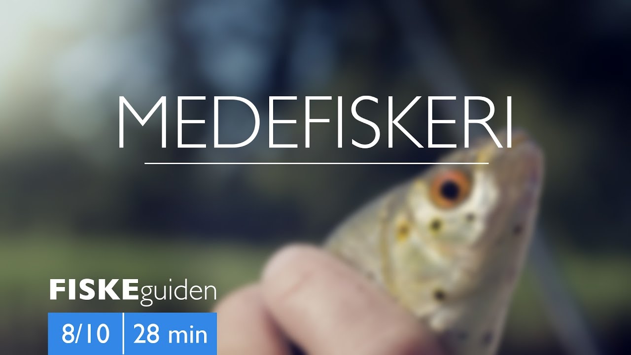 FISKEguiden 8/10: Medefiskeri