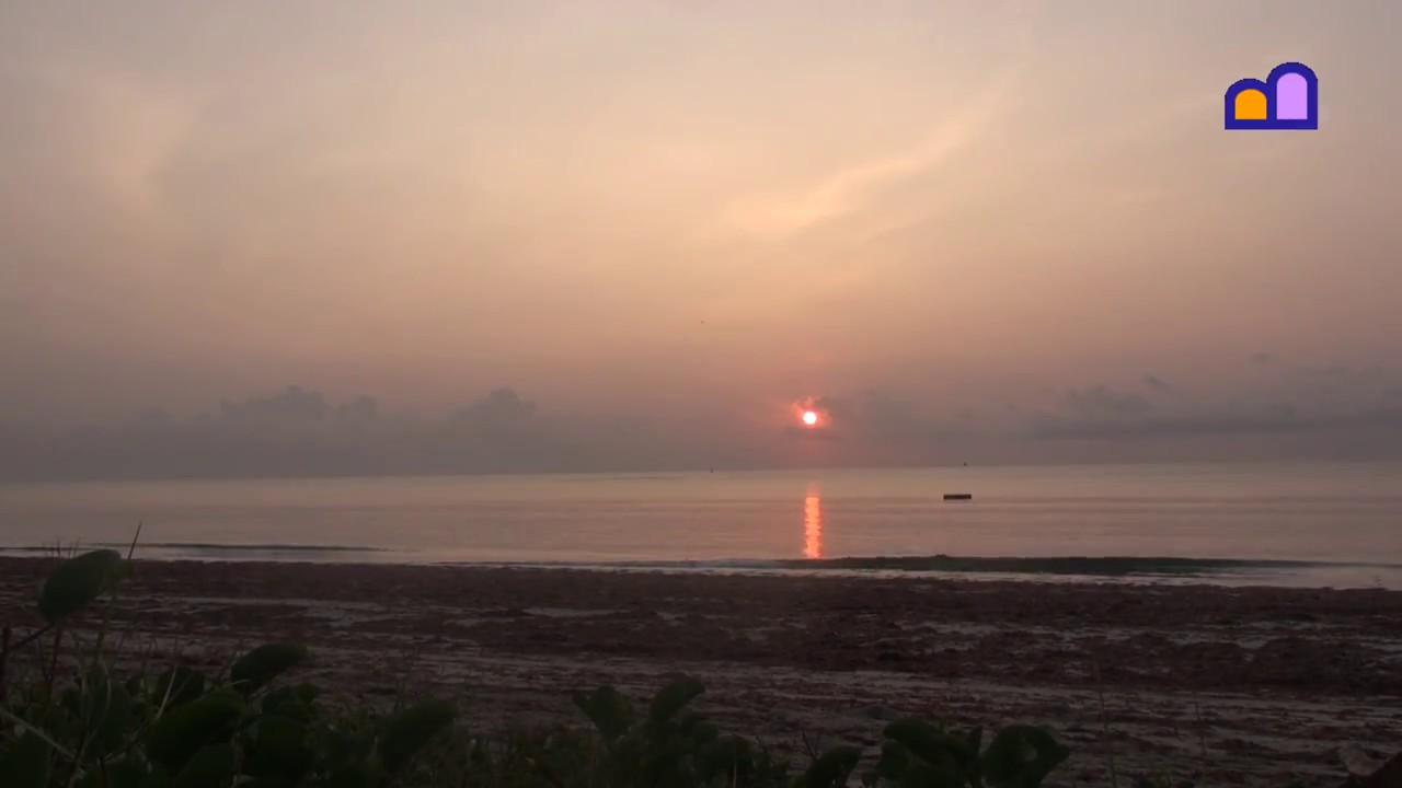 Tanzania - Pangani - A tropical Palm Beach