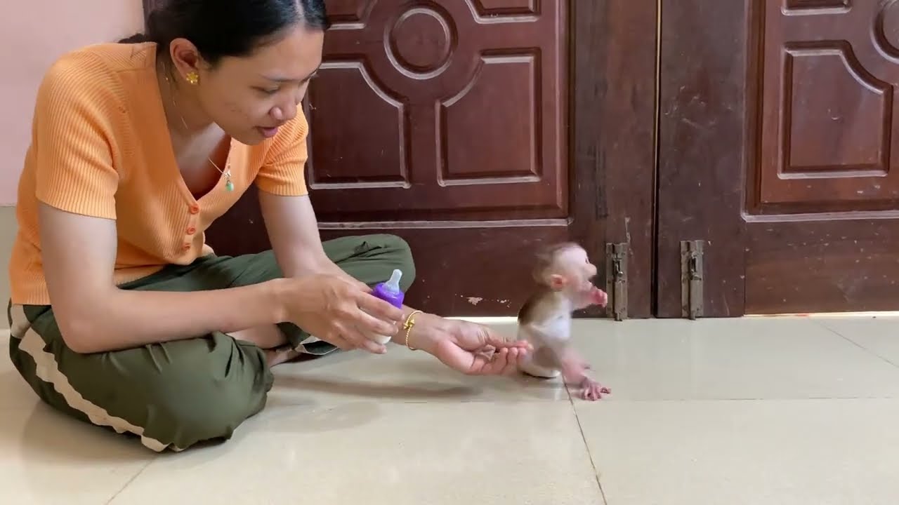 oH no..! Qunn jasmine turn back drammma from mom late to milk