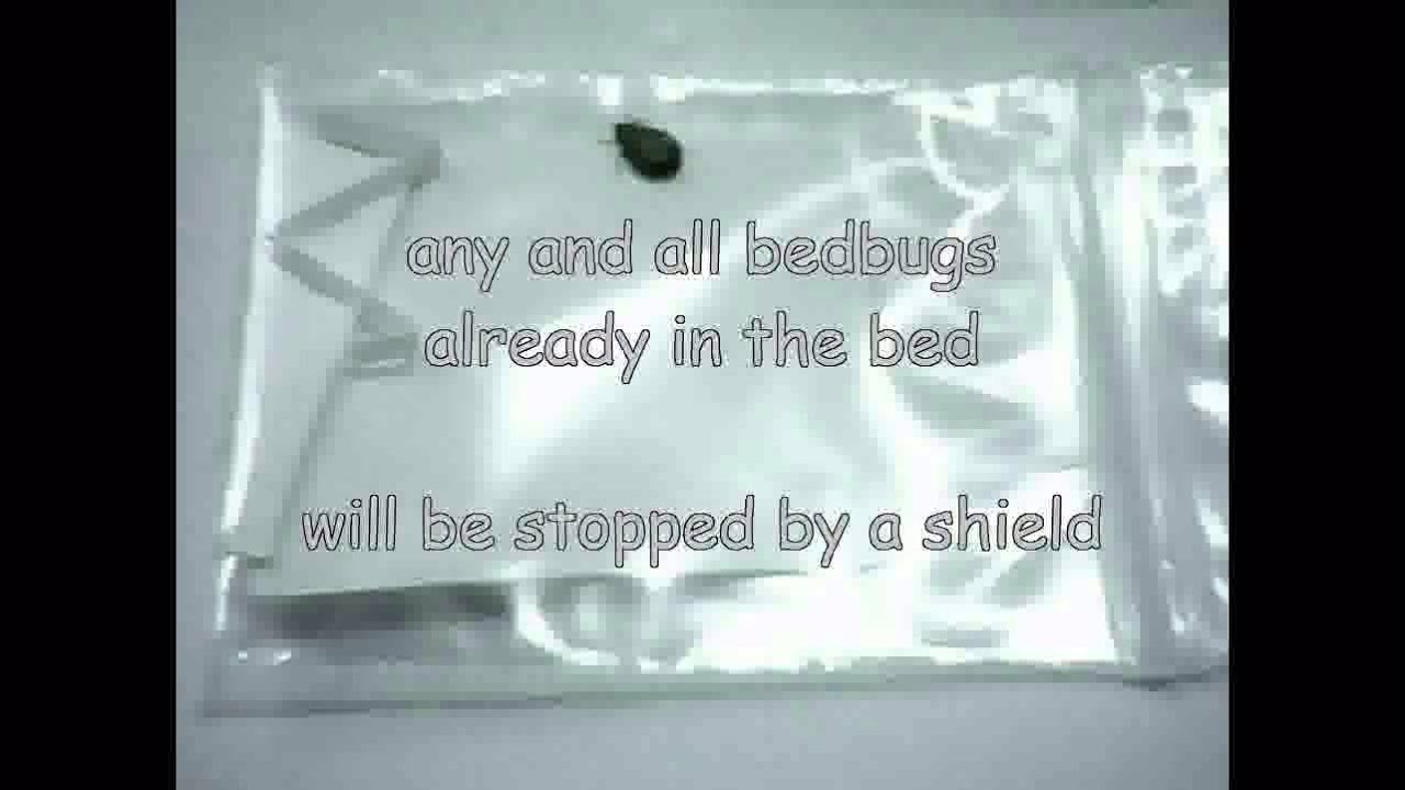 The Bedbug Shield vs bedbugs
