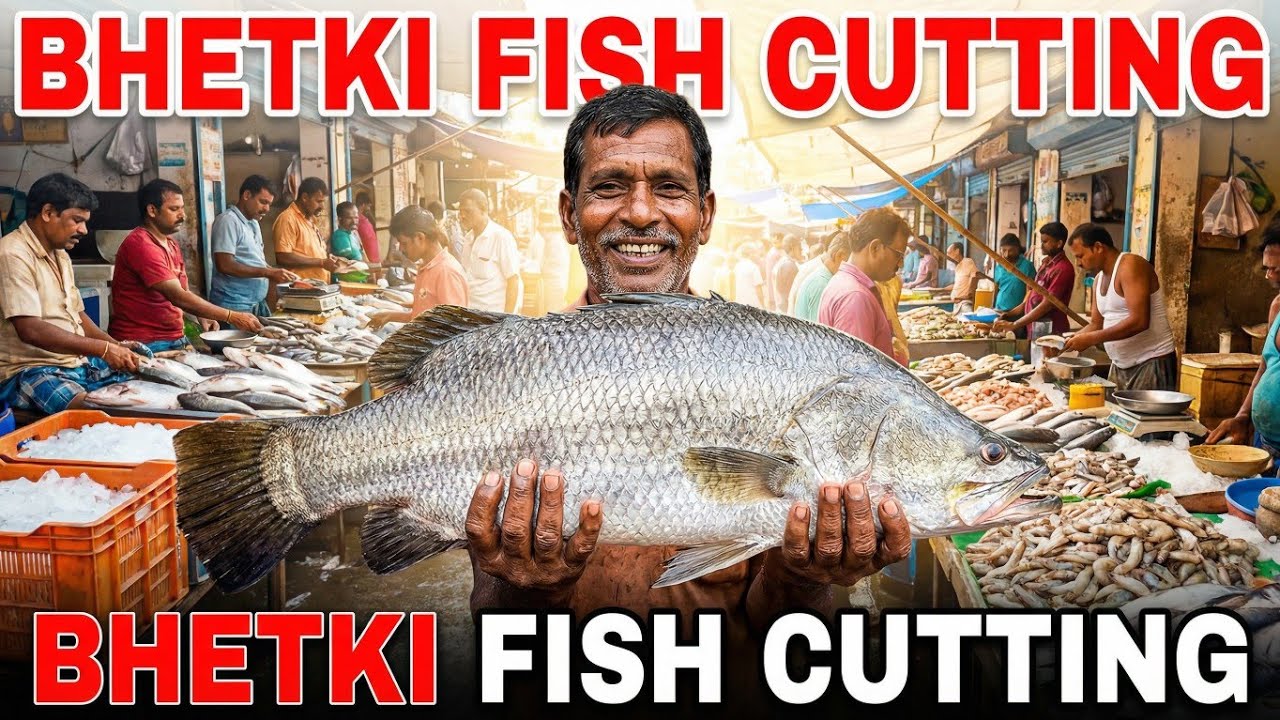 Amazing Cutting Skills | Huge 4KG Bhetki Barramundi Fish Cutting | Fish Cutting Skills 